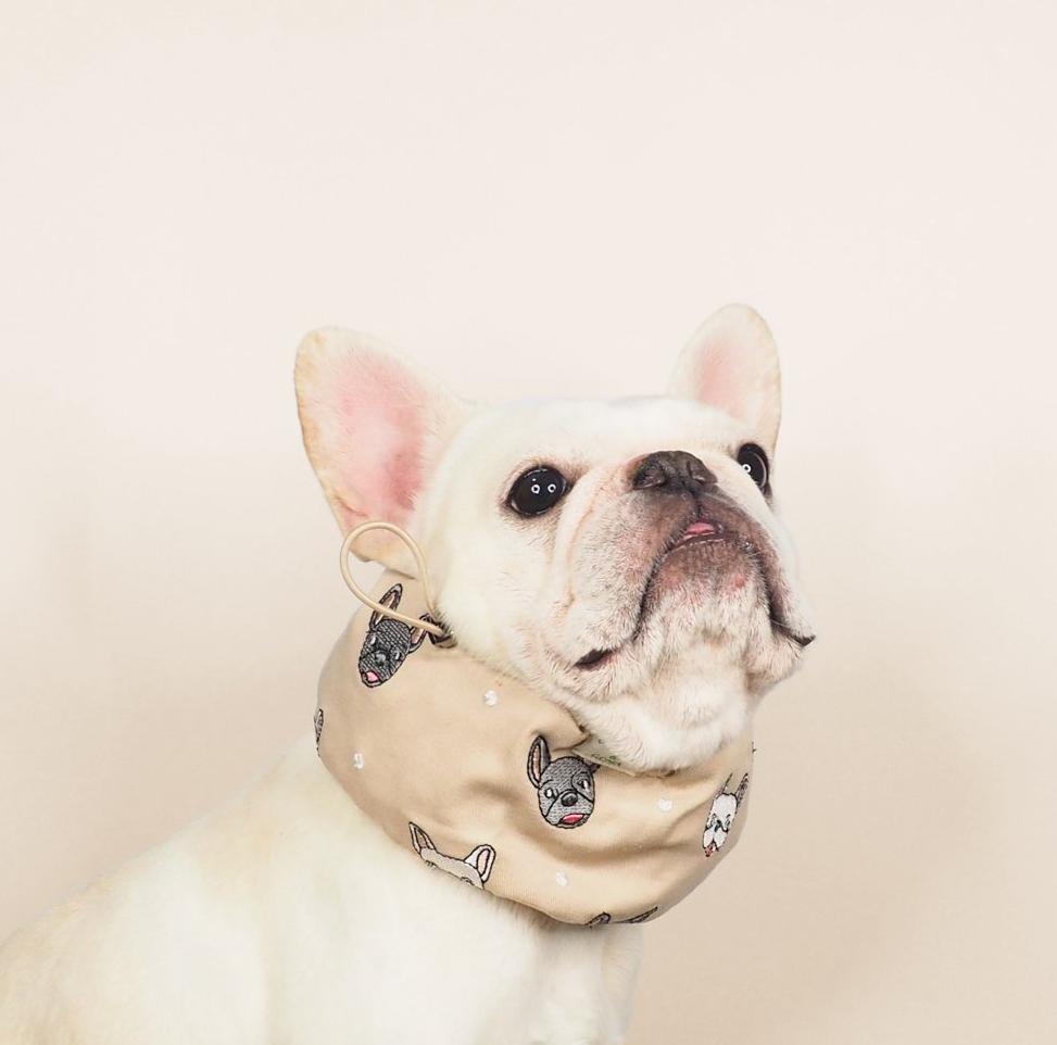 Frenchie Love Cool Snood