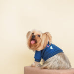 Yorkshire Terrier Dog Clothes