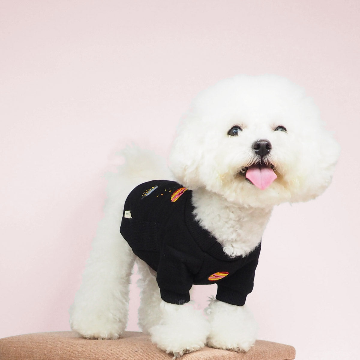 Bichon Dog Clothes