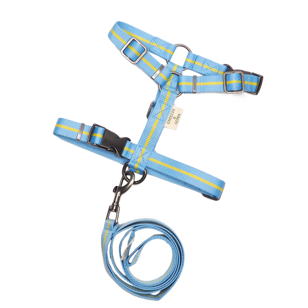 Duo Buckle Strap Harness Set - Light Blue/Yellow
