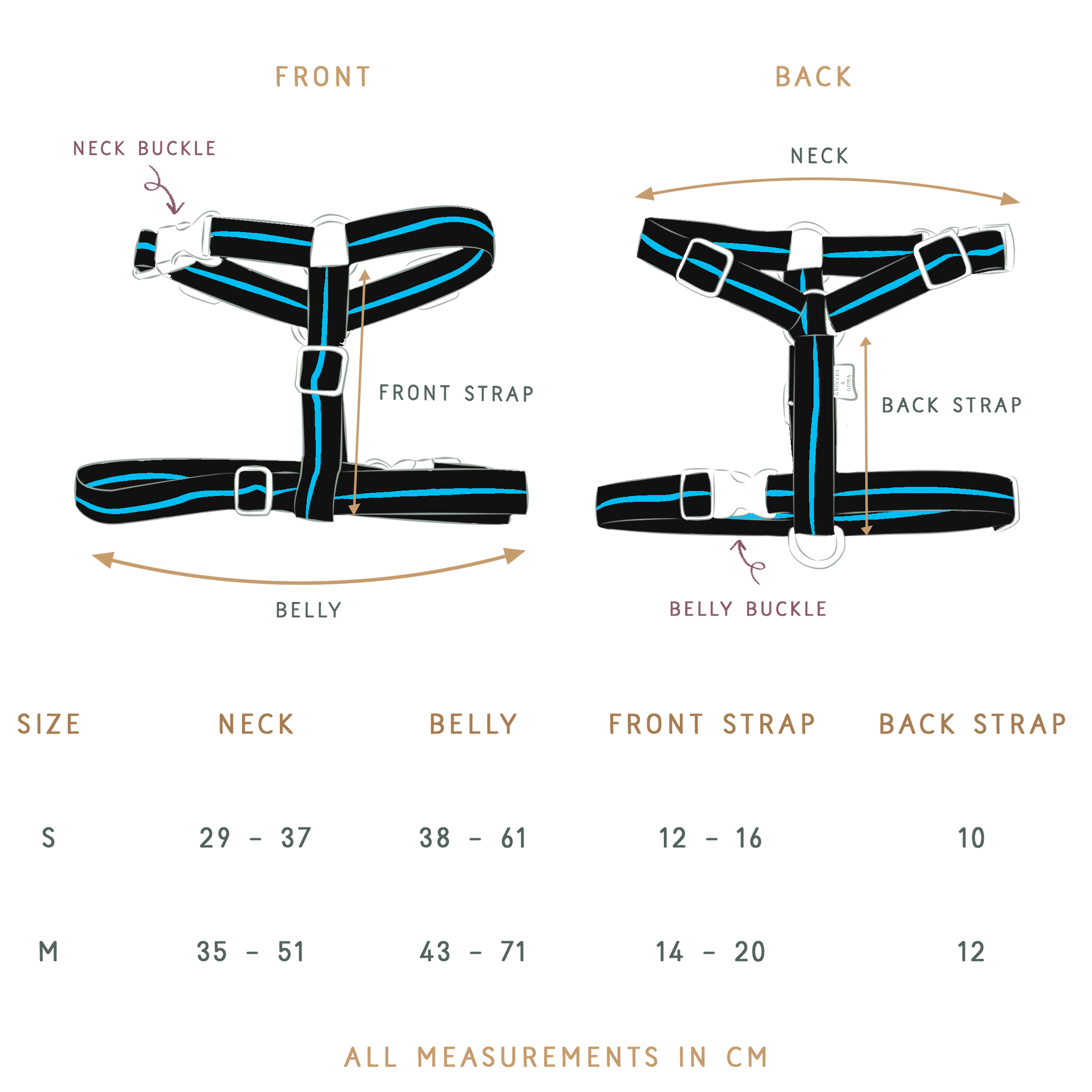 Duo Buckle Strap Harness Set - Black/Blue